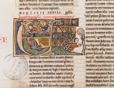 Ms 21 Fol.163v Initiale historiée E représentant Jonas jeté à la mer, d