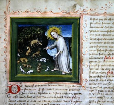 Ms 313 Création des animaux, de la Bible des Grands Augustins - French School