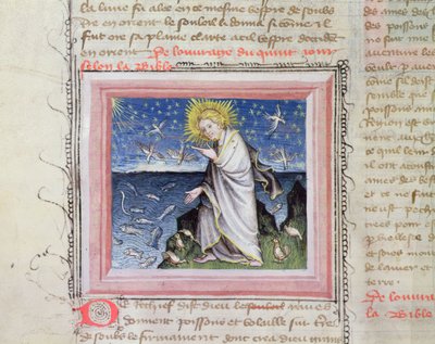 Ms 313 Création des Animaux, de la Bible des Grands Augustins - French School