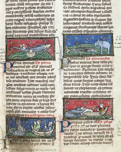 Ms 320 Fol.116 Monstres marins, de 