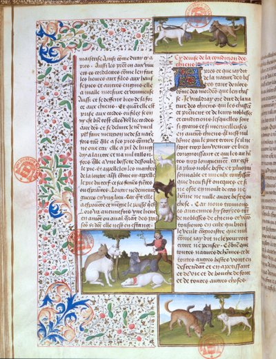 Chiens de chasse, du Livre de la Chasse par Gaston Phébus de Foix (1331-91) - French School