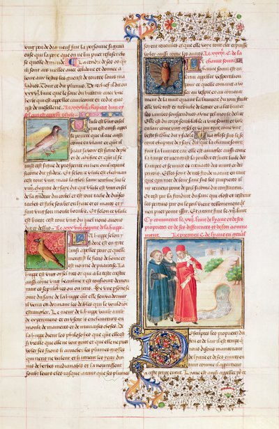 Ms 399 fol.149 Les propriétés de la tortue, de la huppe et de la chauve-souris, du 