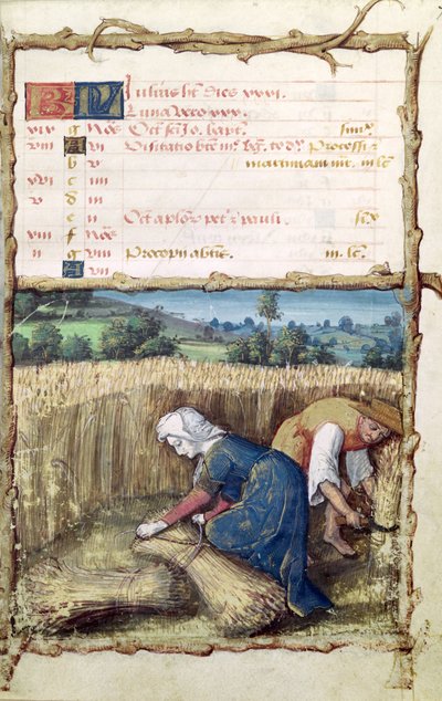 Ms 438 Le Mois de Juillet : Moisson et récolte de blé, d
