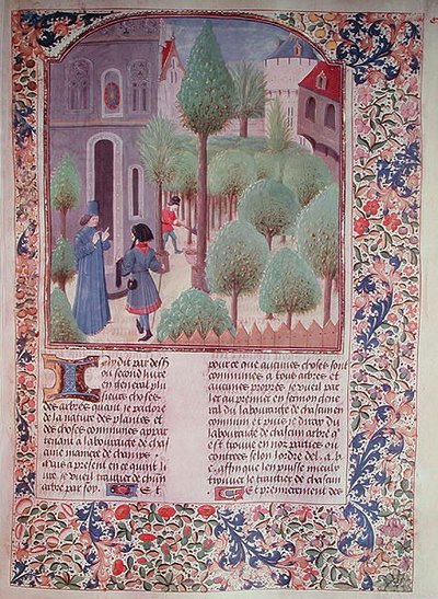 Ms 5064 fol.105r Plantation d