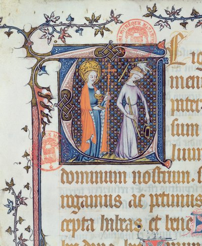 Ms 527 L