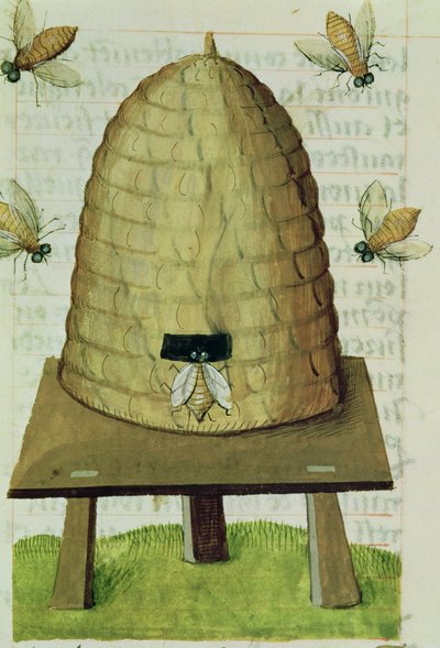 Ms 59 fol.111r Ruche et abeilles, du Grand Herbier - French School