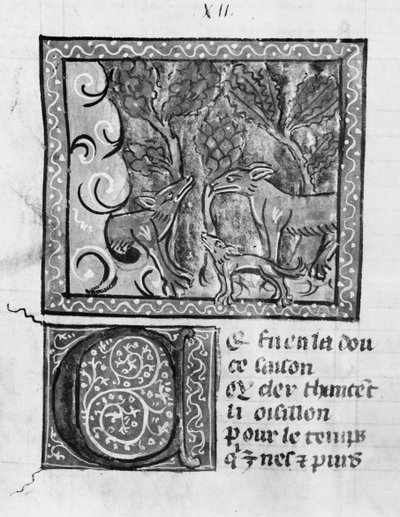 Ms Fr 1580 Le renard, le loup et le chien, du Roman de Renart - French School