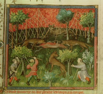 Chasse au loup avec l