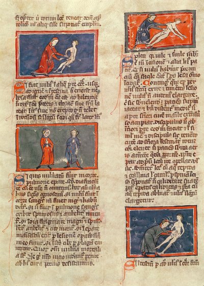 Ms H 89 fol.21v Figures anatomiques, d