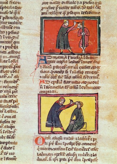 Ms H 89 fol.6 Chirurgie, d