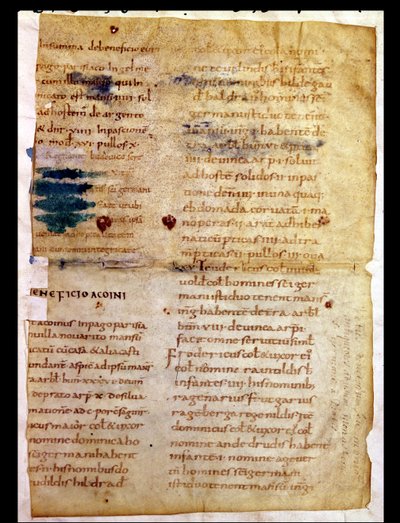 Inventaire de la propriété carolingienne, du Polyptyque de l