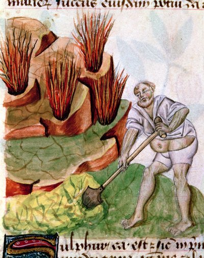 À la recherche de soufre, du De Herbis de Dioscoride - French School