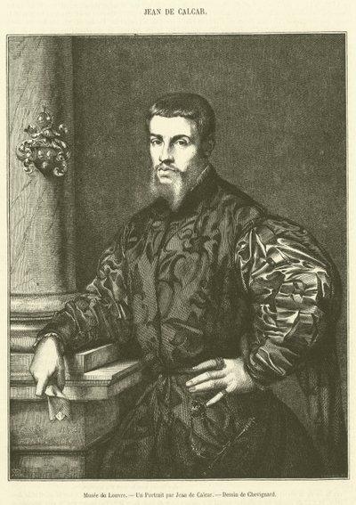 Musée du Louvre, Un Portrait par Jean de Calcar - French School