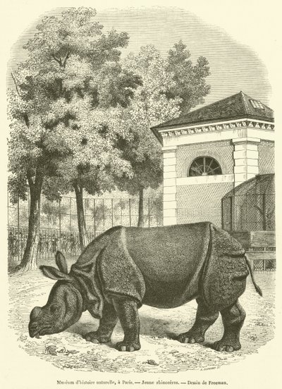 Muséum d