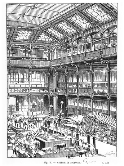 Musée d