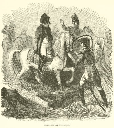 Napoléon à Waterloo - French School