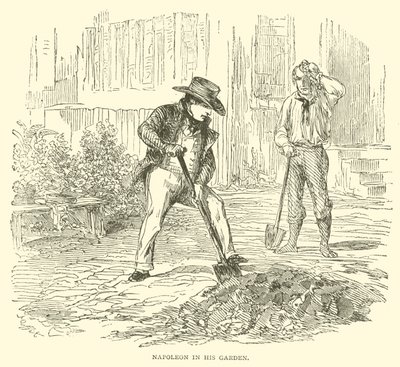 Napoléon dans son jardin - French School