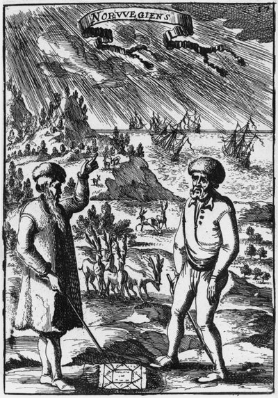 Norvégiens, illustration de Description de l