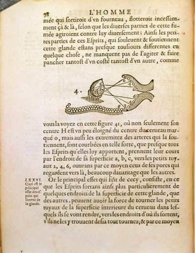 Diagramme optique, de De Homine Figuris par René Descartes (1596-1650) publié à La Haye, 1662 - French School
