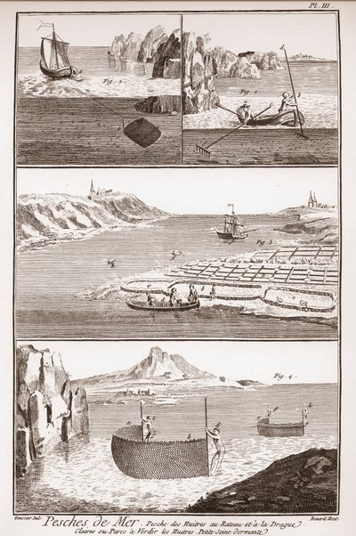 Pêche aux huîtres - « L