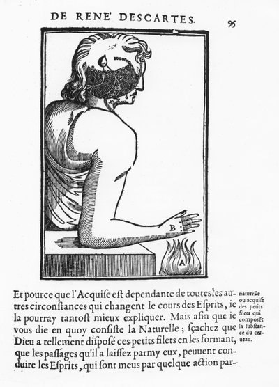Page du 