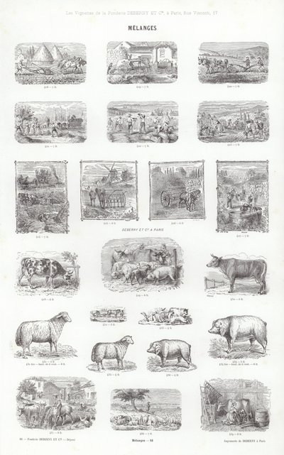 Page de Vignettes Typographiques - French School