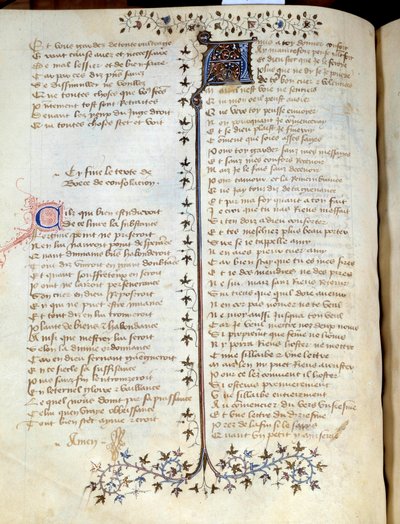 Page tirée du manuscrit « Comfort d