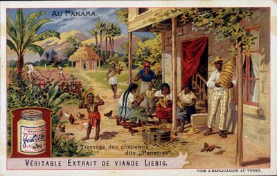 Panama : tressage de chapeaux panama - chromo. Liebig - French School