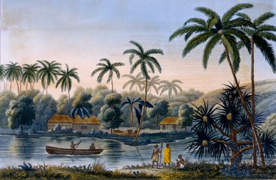 Partie du village de Matavae, cocotiers et autres fruits, Tahiti, de Voyage autour du Monde sur la Corvette Coquille par le lieutenant Louis Isodore Duperrey, publié en 1826 - French School