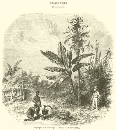 Paysage à la Guadeloupe - French School