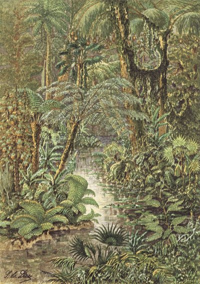 Paysage antédiluvien, une forêt de l