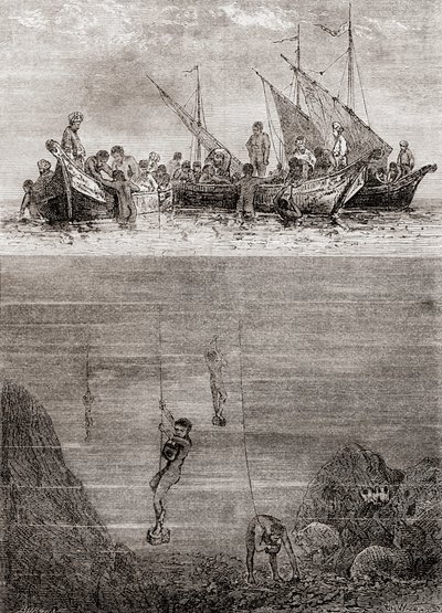 Plongeurs de perles au large de l