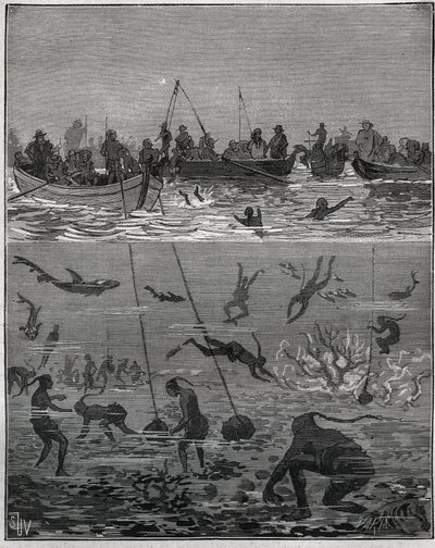 Pêcheurs de perles à Ceylan (Sri Lanka actuel) au XIXe siècle. Gravure de 1885 dans « Les arts et métiers illustrés » par Adolphe Bitard. - French School