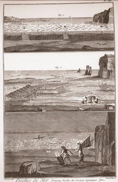 Pêche de mer - Trameau - Pêche aux oiseaux aquatiques - « La Grande Encyclopédie, ou Dictionnaire Raisonné des Sciences, des Arts et des Métiers » par Denis Diderot (1713-1784) et Jean d