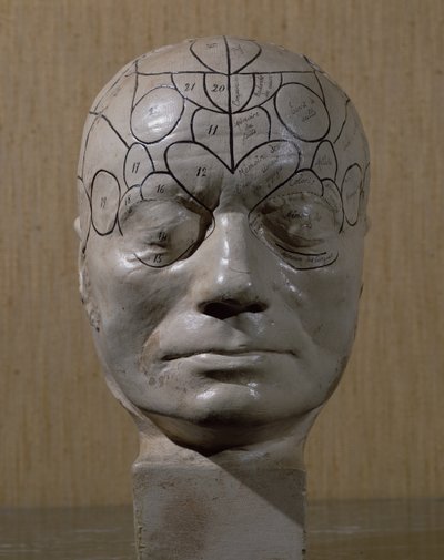 Tête phrénologique par Jean Martin Charcot - French School