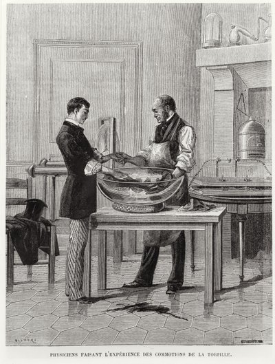 Physiciens expérimentant sur une torpille, 2e moitié du XIXe siècle - French School