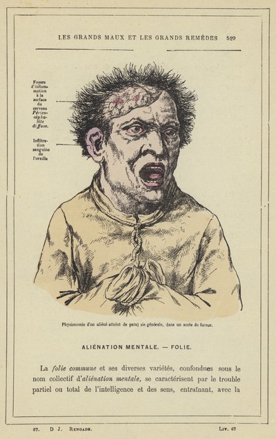 Physionomie d