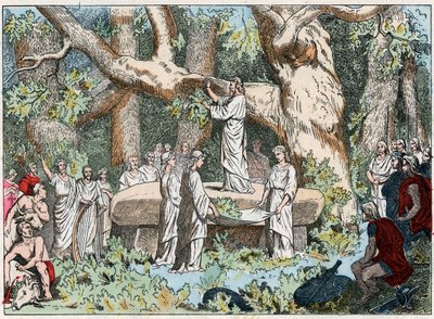 Cueillette du gui par les druides en Gaule, fin du XIXe siècle (gravure) - French School