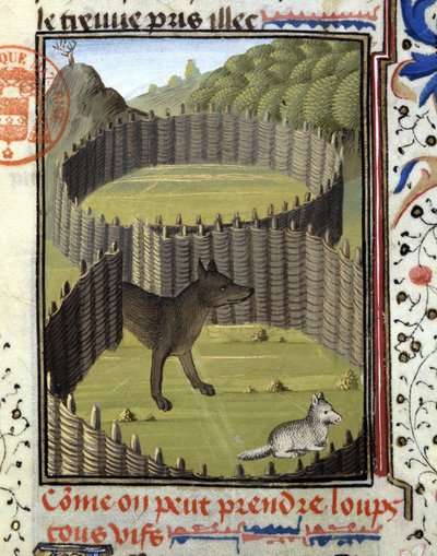 Piège à loup - dans "Livre de chasse de Gaston Phoebus, Comte de Foix, Seigneur de Béarn" - French School
