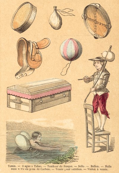 Cochon - French School