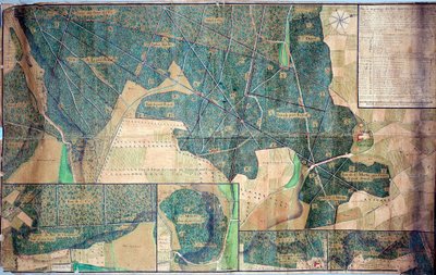 Plan et relevé des bois appartenant aux religieuses de Port-Royal des Champs - French School