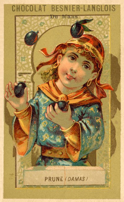 Prunes de Damas - French School