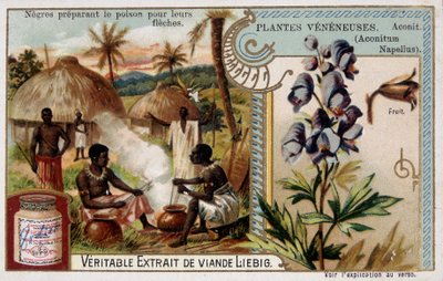 Plantes toxiques : aconit et Africain préparant du poison pour leurs flèches - chromo. Liébig, fin 19ème siècle - French School