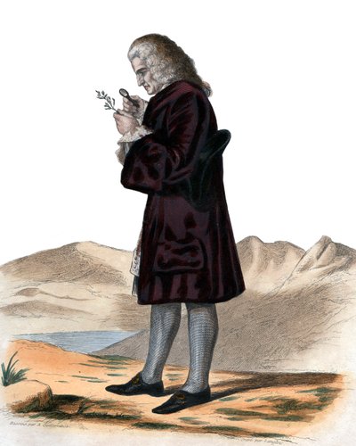 Portrait de Bernard de Jussieu (1699-1777) - French School