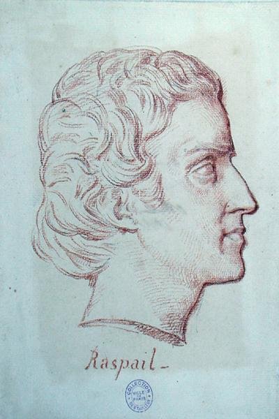 Portrait de François Vincent Raspail (1794-1878) - French School