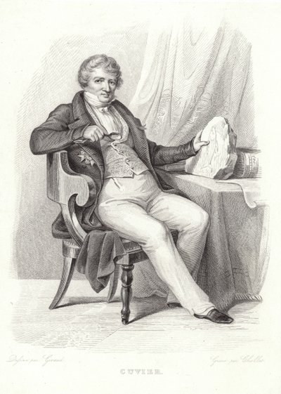 Portrait de Georges Cuvier - French School