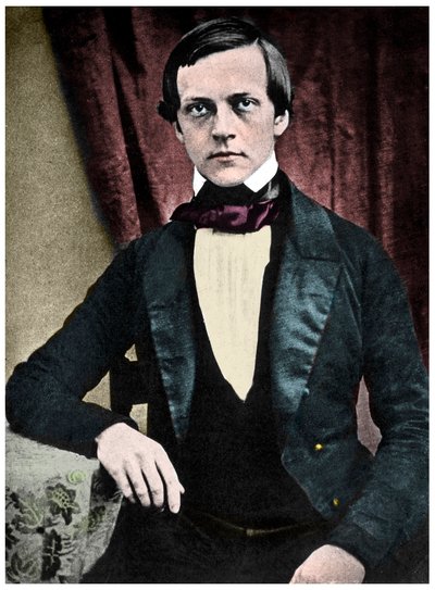 Portrait de Hermann von Helmholtz (1821-1894), physicien, anatomiste et physiologiste allemand - French School