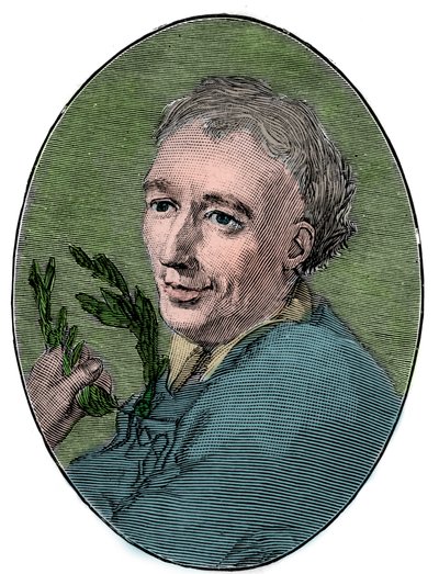Portrait de Laurence Eusden (1688-1730), poète anglais - French School