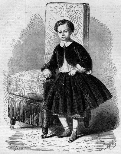 Portrait de Napoléon Eugène Louis Jean Joseph Bonaparte (1856-1879), connu sous le nom de Prince Impérial, fils de Napoléon III. Gravure dans "Le Monde Illustré" n°137 du 26 novembre - French School