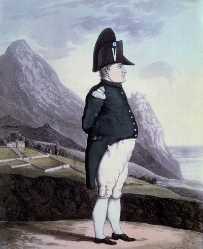 Portrait de Napoléon Ier (1769-1821) sur l